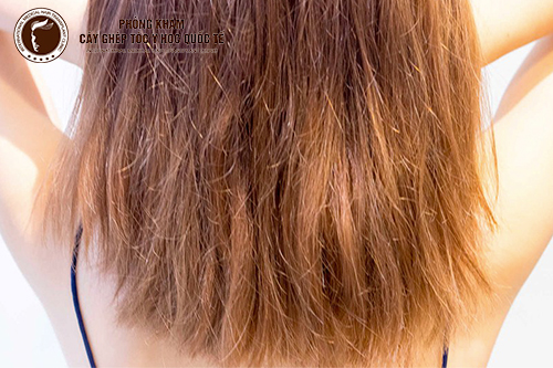 6 bí quyết vàng chữa tóc hư tổn nặng do hóa chất